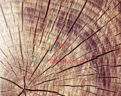 Тимберсилк TIMBER SOFT  5мл