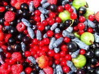 Кислая ягода база (MDF) 5мл