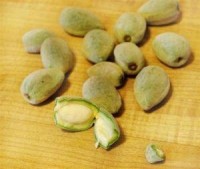 Персидский миндаль база 5мл