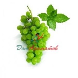 МЕТИЛСАЛИЦИЛАТ (МETHYL SALICYLATE)