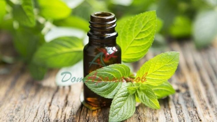 БЕТА ПИНЕН природный (beta-PINENE Natural)