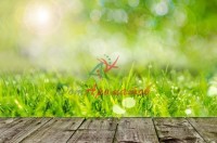 Изо нонил ацетат 5мл