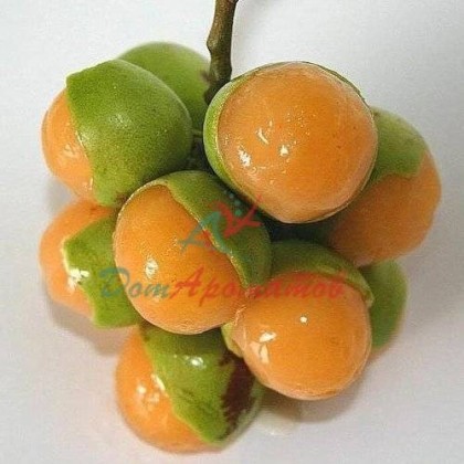 SPANISH LIME БАЗА 5мл