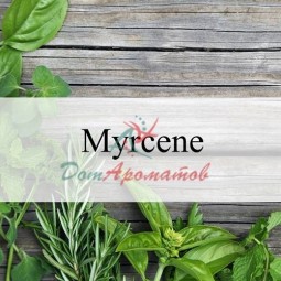 Мирцен 5% в ДПГ (MYRCENE) 5мл